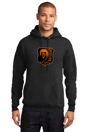 CAL HS PULLOVER HOODIE Image