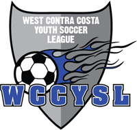 WCCYSL 4inch Sticker